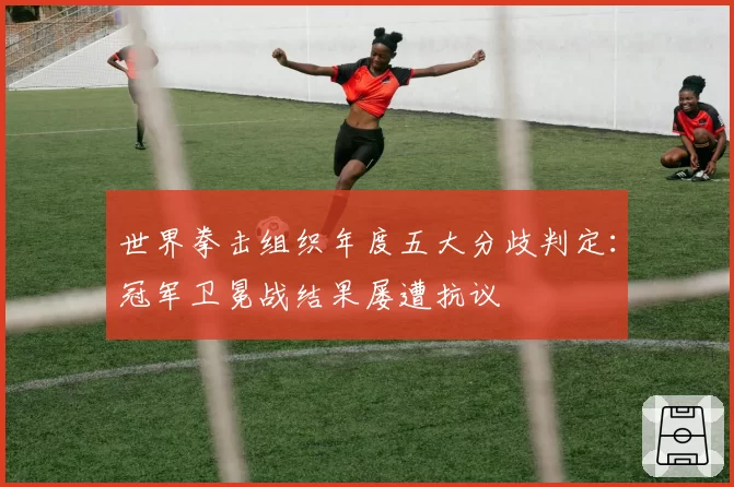 世界拳击组织年度五大分歧判定:冠军卫冕战结果屡遭抗议