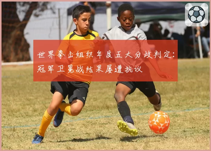世界拳击组织年度五大分歧判定:冠军卫冕战结果屡遭抗议